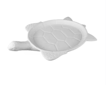 Sea Turtle Server