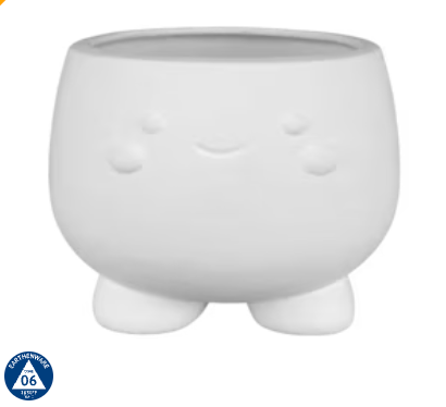 Kutie Kawaii Container