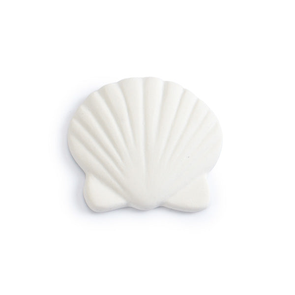 Scallop Shell Bisquie