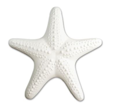 Hanging Starfish