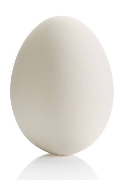 Large Egg Gare